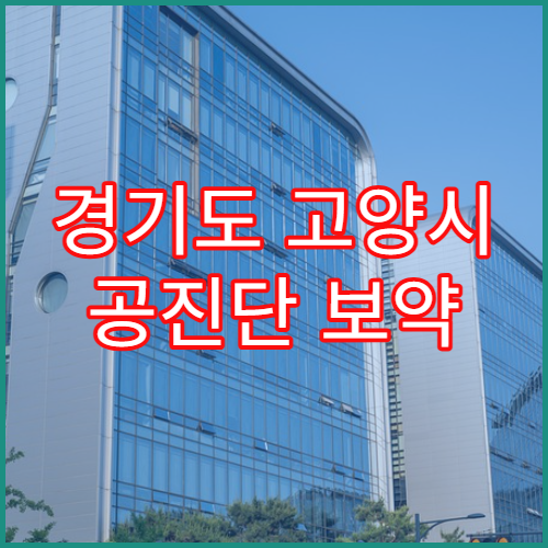 경기도 고양시 공진단 보약 처방 한의원
