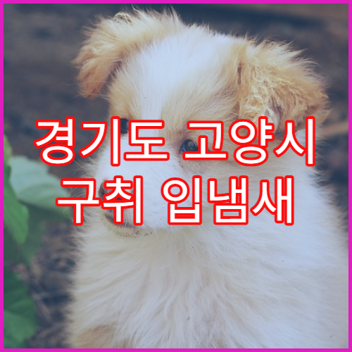 경기도 고양시 구취 입냄새 원인 검사 병원