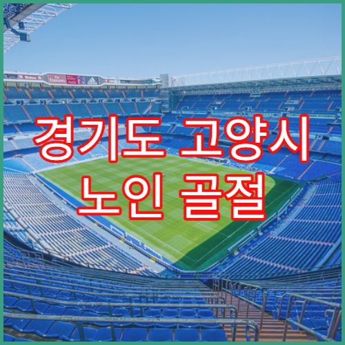경기도 고양시 노인 골절 재활 골밀도 검사 60대