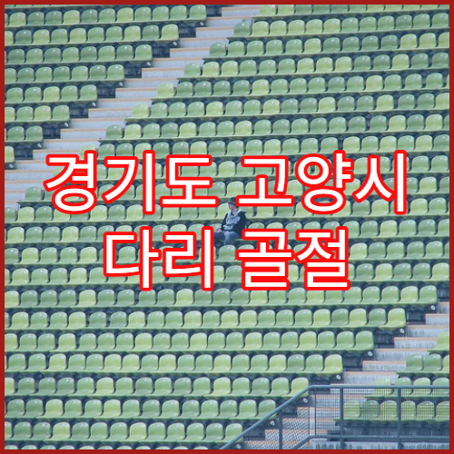 경기도 고양시 다리 골절 깁스 치료 병원 일산