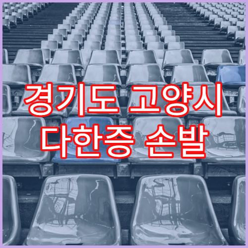 경기도 고양시 다한증 손발 땀 치료 전문