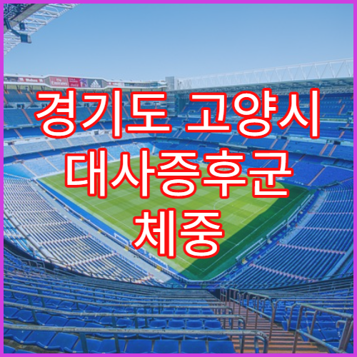 경기도 고양시 대사증후군 체중 관리 클리닉