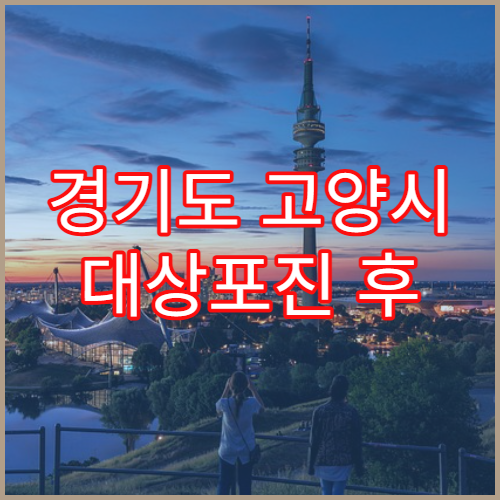 경기도 고양시 대상포진 후 신경통 치료 일산