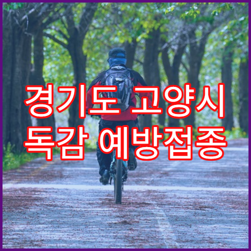 경기도 고양시 독감 예방접종 시기 병원 리스트