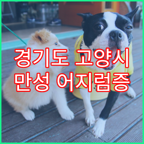 경기도 고양시 만성 어지럼증 원인 치료 추천