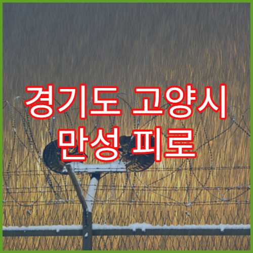 경기도 고양시 만성 피로 증후군 검사 치료