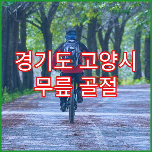 경기도 고양시 무릎 골절 연골 손상 치료 추천