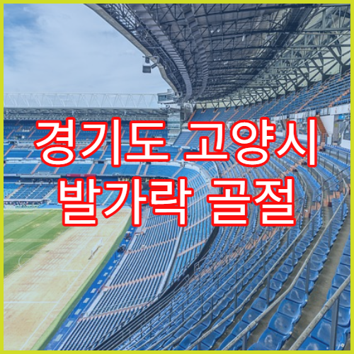 경기도 고양시 발가락 골절 정형외과 병원 안내
