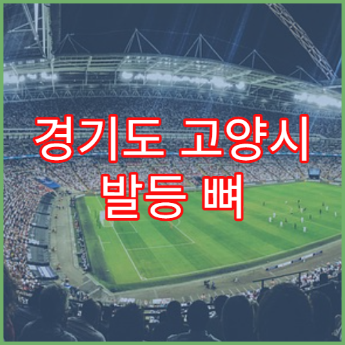 경기도 고양시 발등 뼈 골절 부종 치료 병원