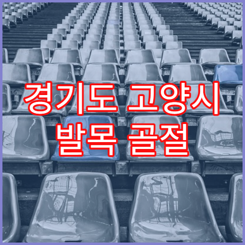경기도 고양시 발목 골절 인대 재활 추천 리스트