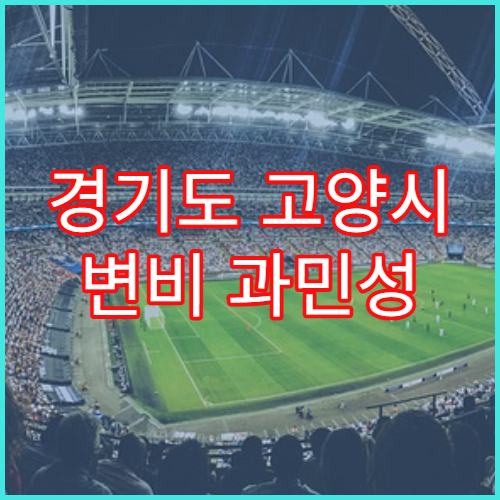 경기도 고양시 변비 과민성 대장 치료 안내