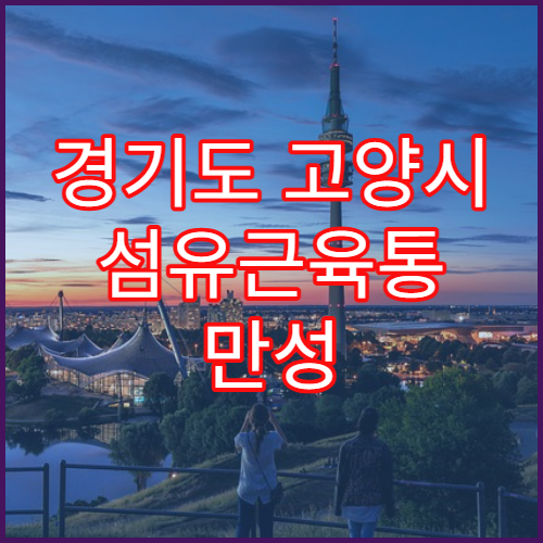 경기도 고양시 섬유근육통 만성 통증 관리