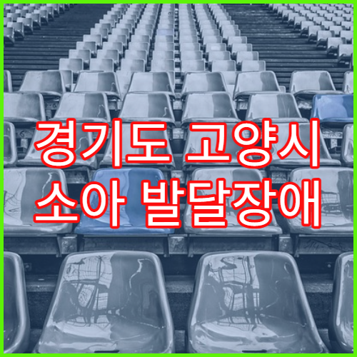 경기도 고양시 소아 발달장애 자폐 검사 추천