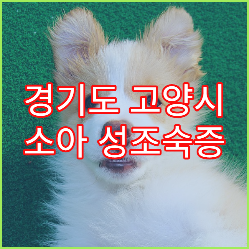 경기도 고양시 소아 성조숙증 성장 치료