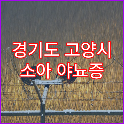 경기도 고양시 소아 야뇨증 생활 개선 클리닉