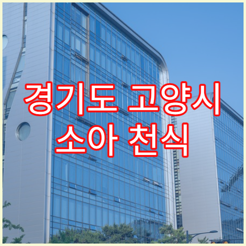 경기도 고양시 소아 천식 알레르기 검사