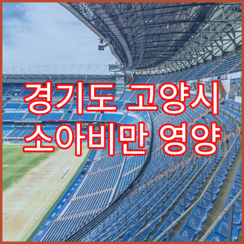 경기도 고양시 소아비만 영양 상담 병원