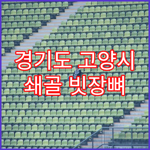 경기도 고양시 쇄골 빗장뼈 골절 수술 회복 잘하는