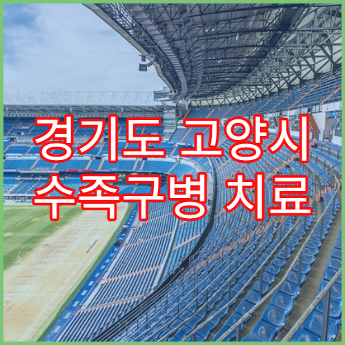 경기도 고양시 수족구병 치료 예방 안내 2026