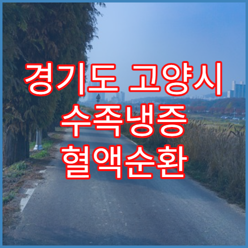 경기도 고양시 수족냉증 혈액순환 병원 추천