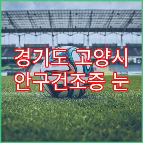경기도 고양시 안구건조증 눈 건강검진 추천