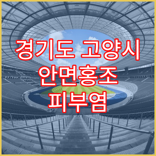 경기도 고양시 안면홍조 피부염 치료 병원