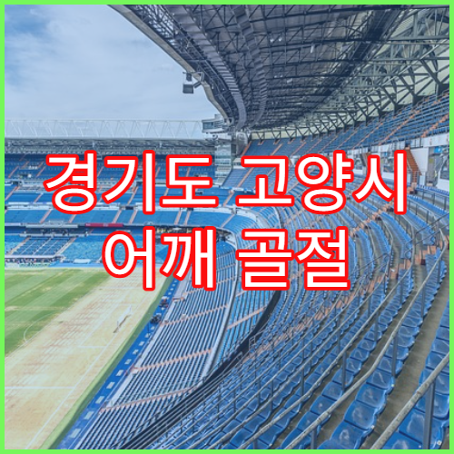 경기도 고양시 어깨 골절 재활 치료 정보 덕양구