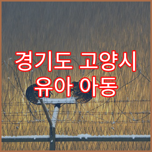 경기도 고양시 유아 아동 골절 소아 정형외과