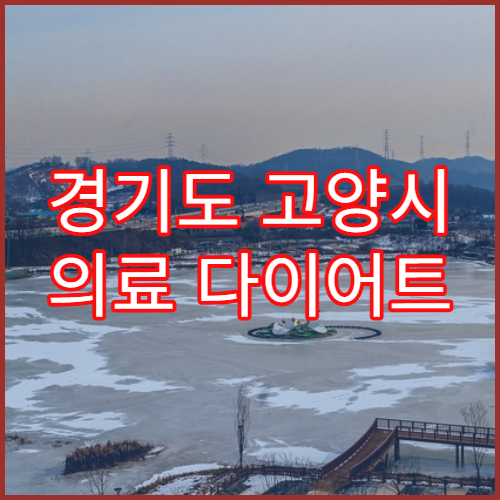 경기도 고양시 의료 다이어트 고도비만 치료