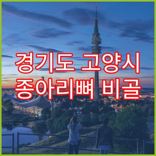 경기도 고양시 종아리뼈 비골 골절 회복 관리