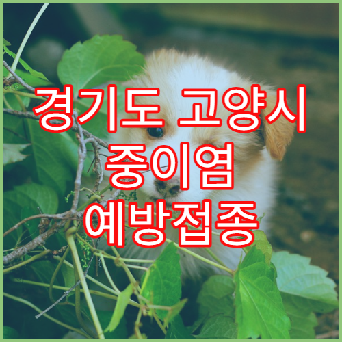 경기도 고양시 중이염 예방접종 치료 병원
