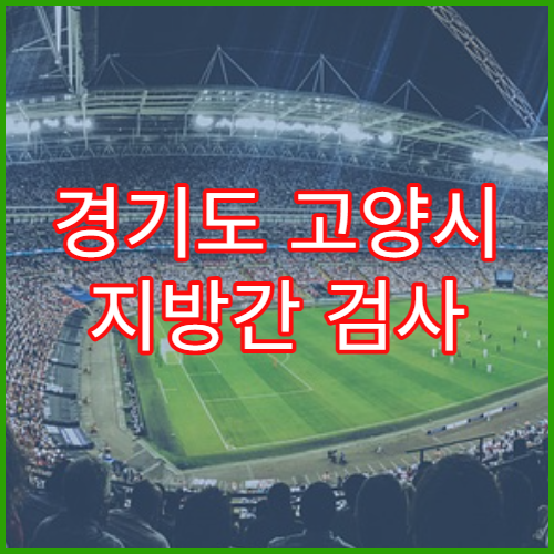 경기도 고양시 지방간 검사 간 건강 관리