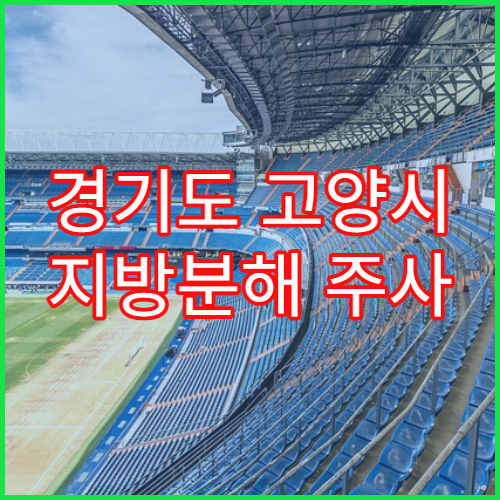 경기도 고양시 지방분해 주사 시술 비용 안내
