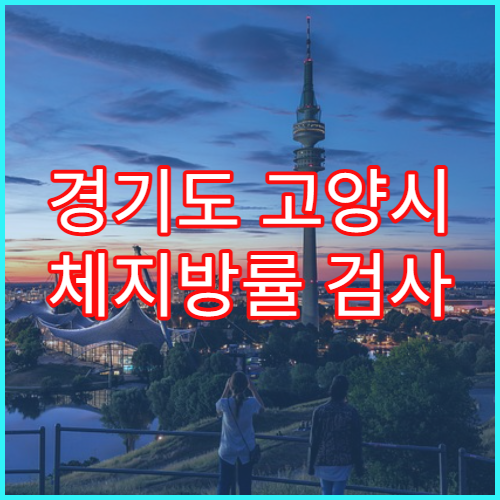경기도 고양시 체지방률 검사 맞춤 다이어트