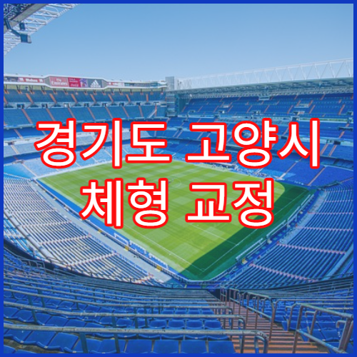 경기도 고양시 체형 교정 바른 자세 치료 한의원