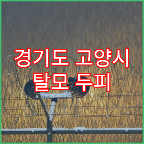 경기도 고양시 탈모 두피 관리 전문 한의원
