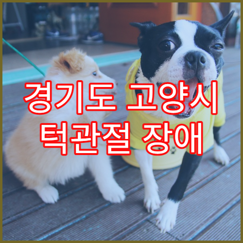 경기도 고양시 턱관절 장애 교정 병원 일산