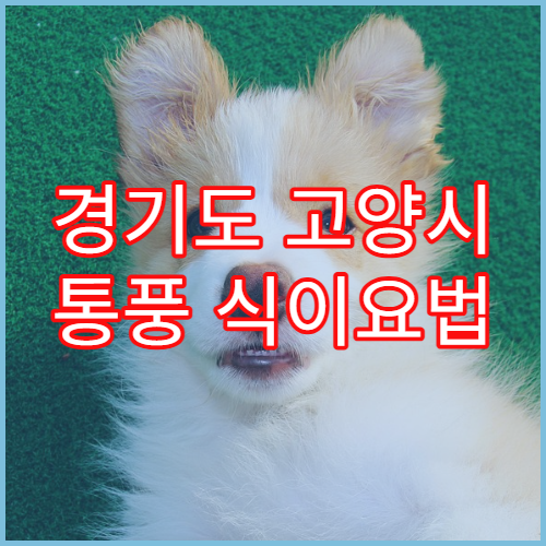 경기도 고양시 통풍 식이요법 상담 병원 추천