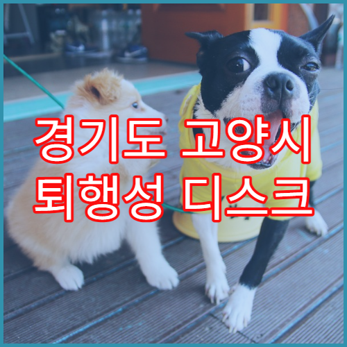 경기도 고양시 퇴행성 디스크 비수술 요법