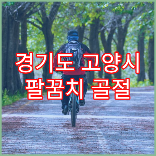 경기도 고양시 팔꿈치 골절 진단 수술 병원 추천