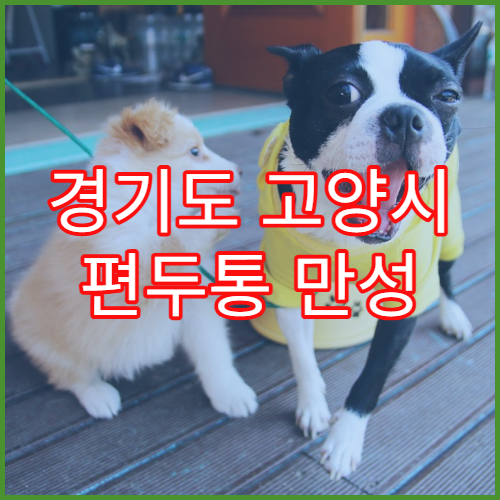 경기도 고양시 편두통 만성 두통 검사 병원