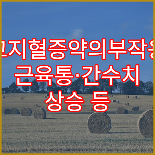 고지혈증약의부작용 근육통·간수치 상승 등 주의해야 할 점