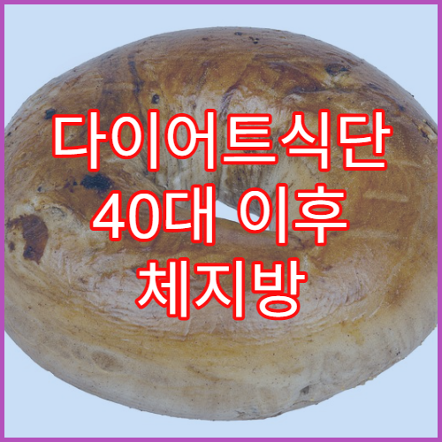 다이어트식단 40대 이후 체지방 줄이는 한 끼 구성법