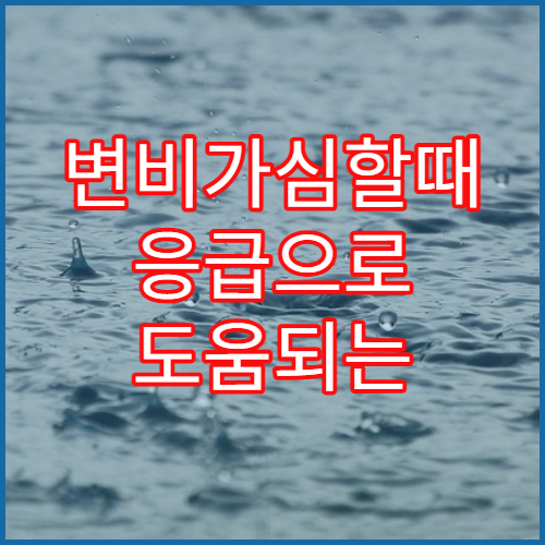 변비가심할때 응급으로 도움되는 음식·자세·약 정리