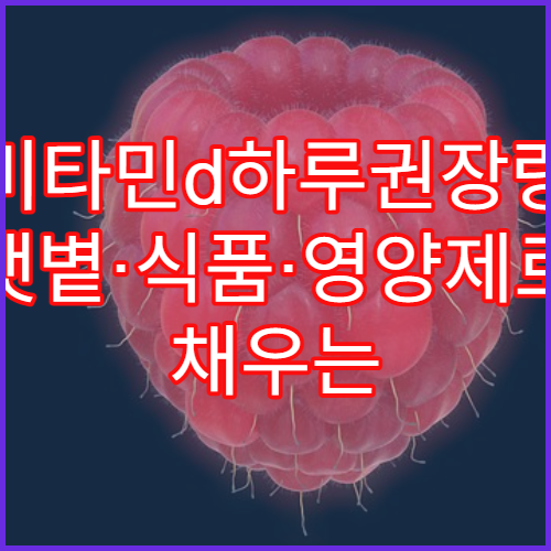 비타민d하루권장량 햇볕·식품·영양제로 채우는 방법